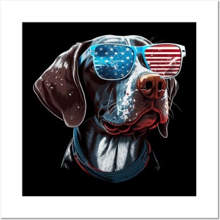 Pointer dog 4th of July Posters and Art